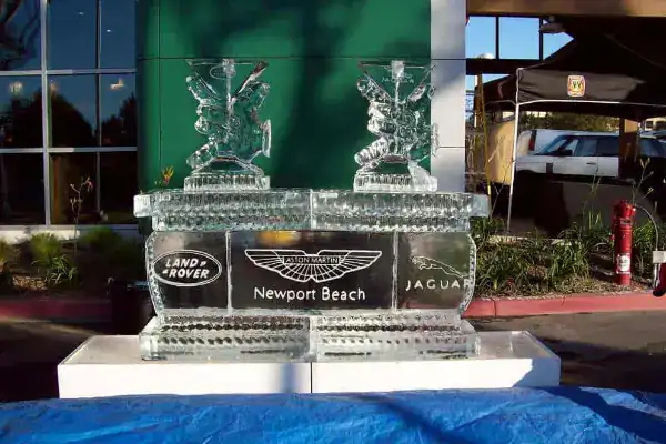 Ice luge for a car dealership