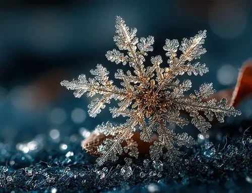 The Science of Ice: Fun Facts & Trivia