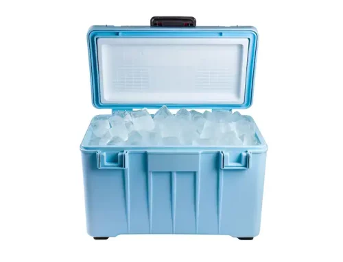How Much Dry Ice for a Cooler on a Road Trip?